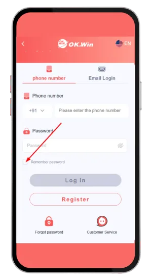 Click on the remember password option
